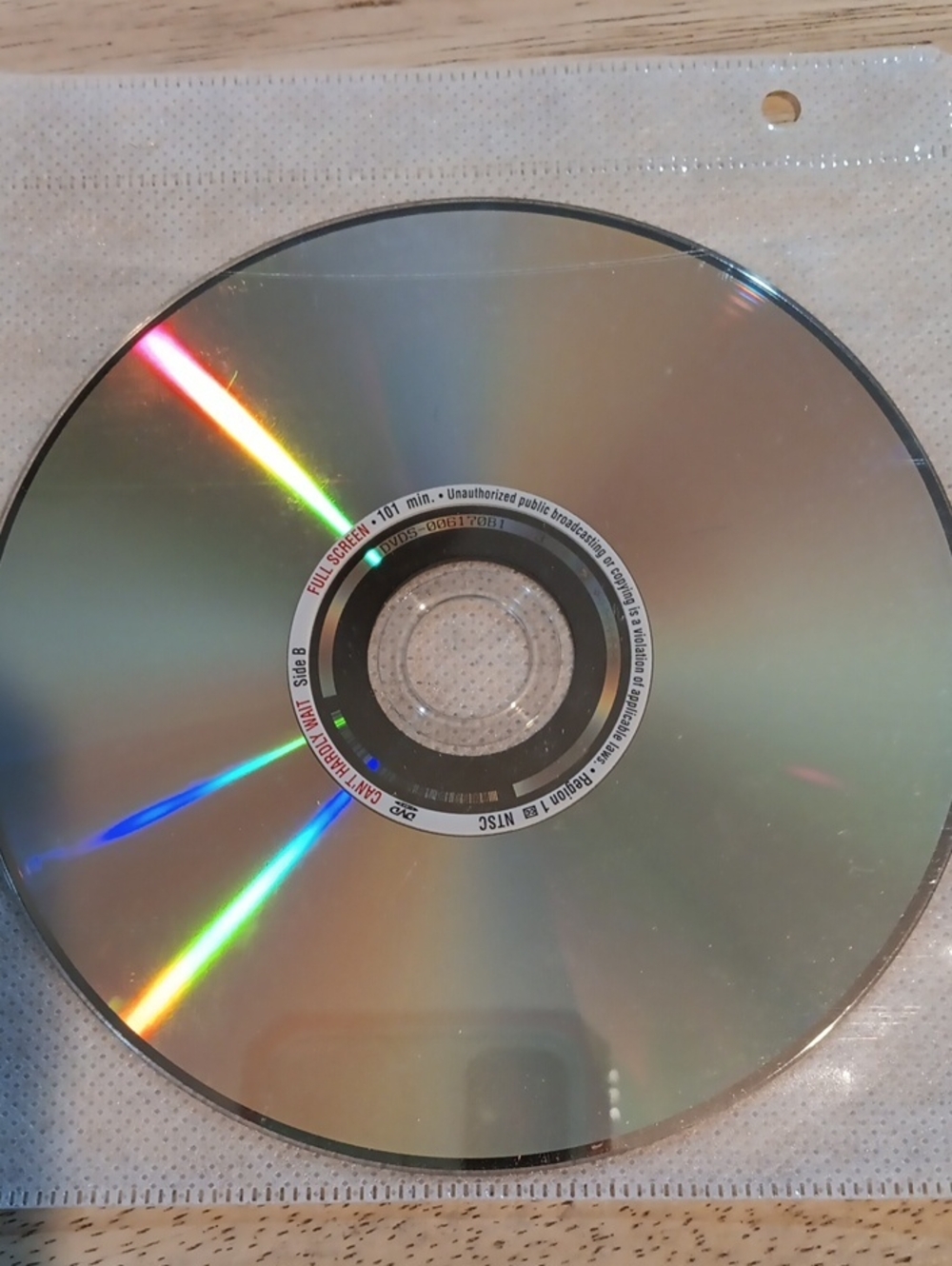 Can't Hardly Wait DVD *NO CASE*